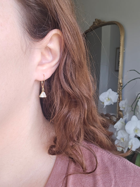 14k Yellow Gold Earrings