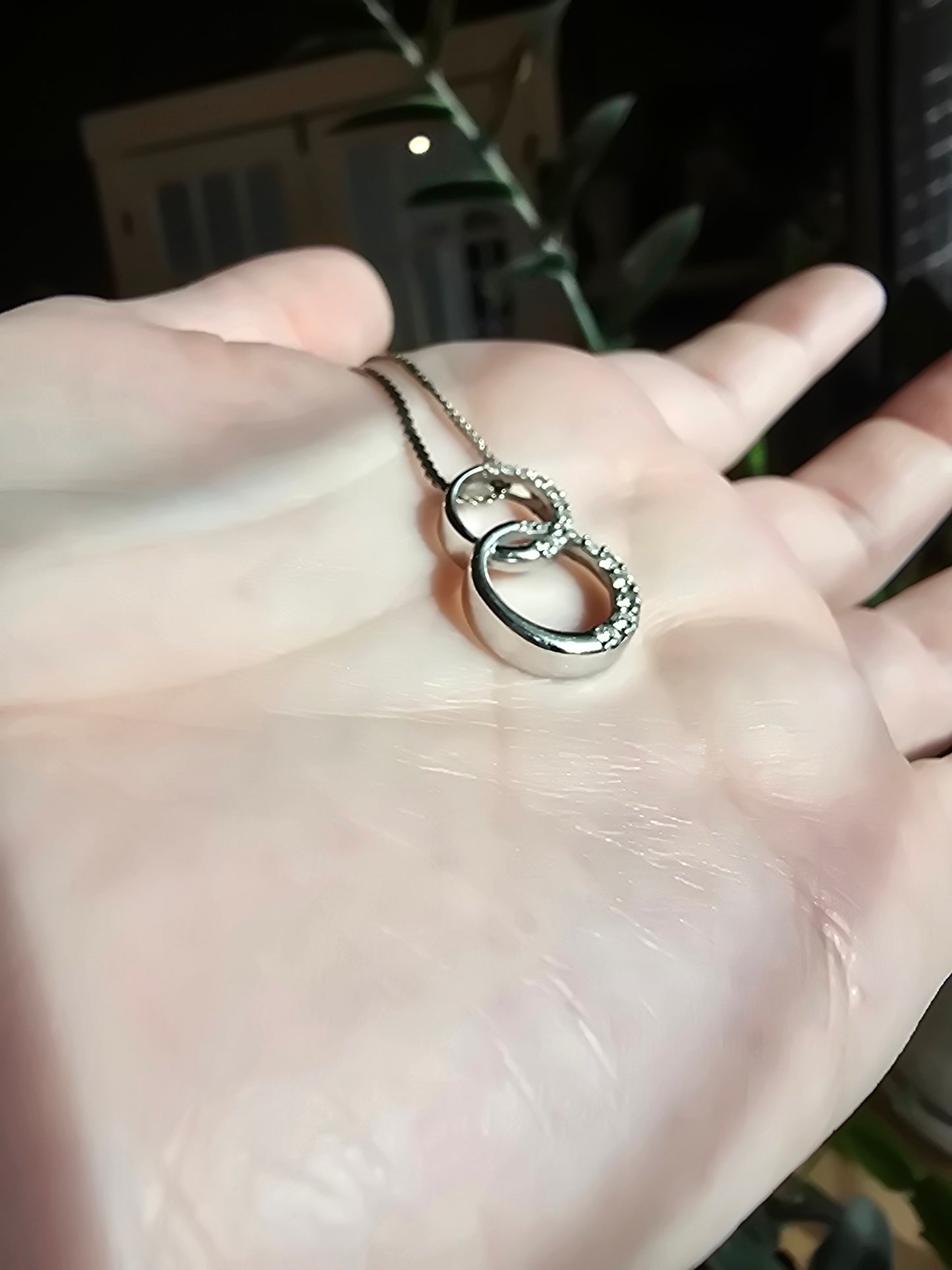 14K White Gold Double Ring Necklace